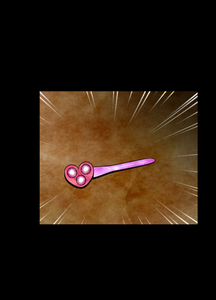 Ch.1-13がありません