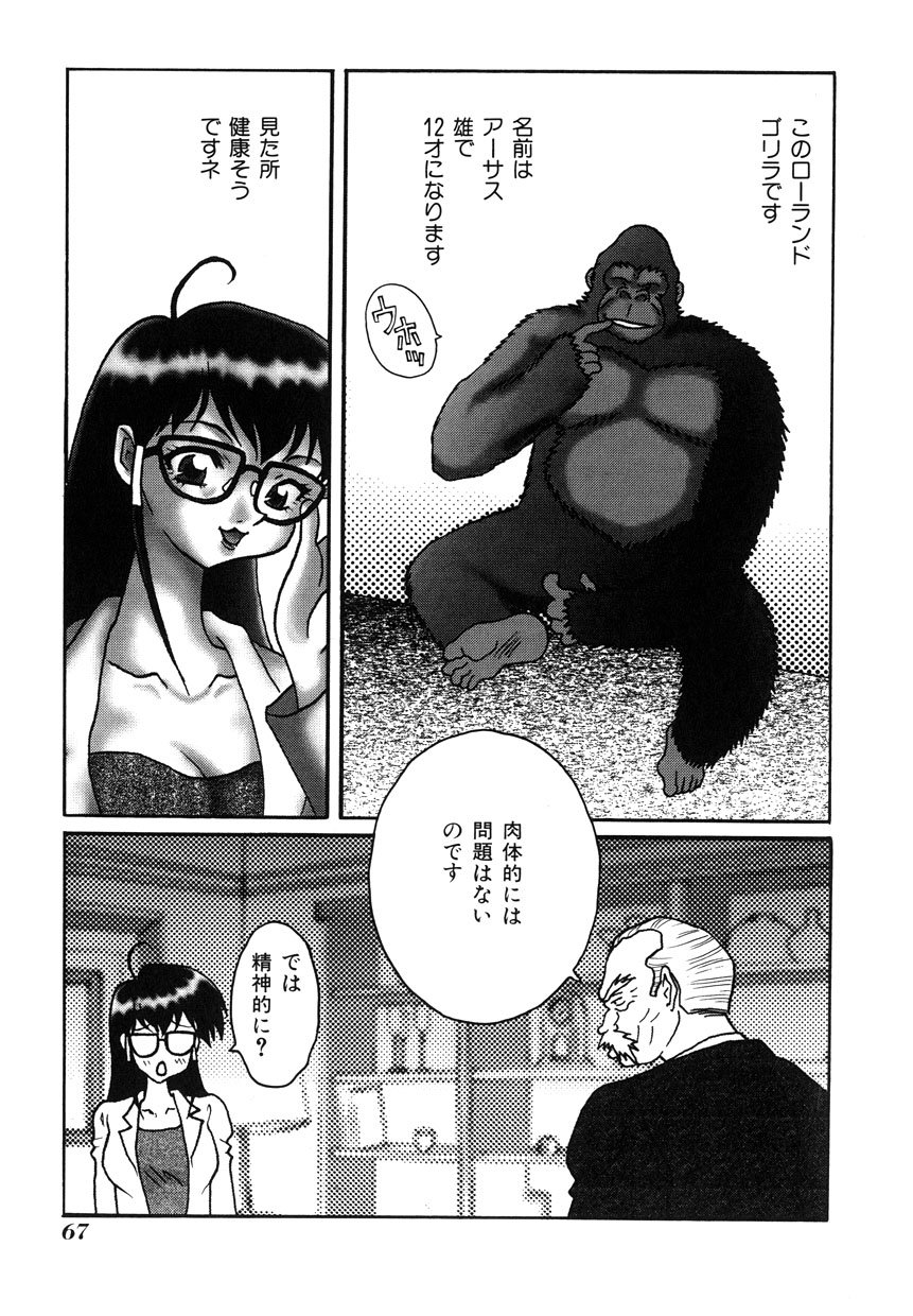 ミレニアムニュー