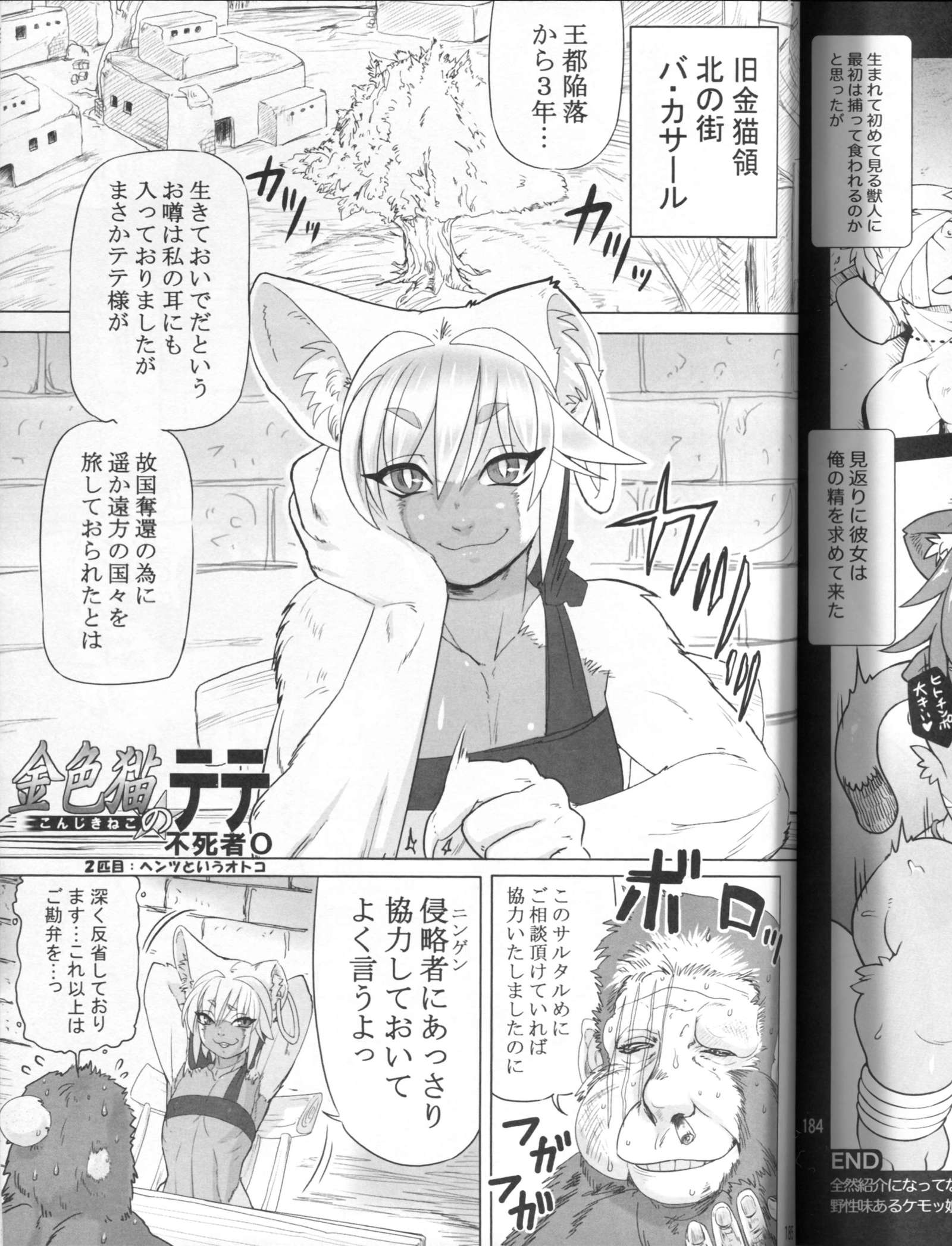 金色の猫のテテ:不滅の0 金色の猫のテテ:不滅の0