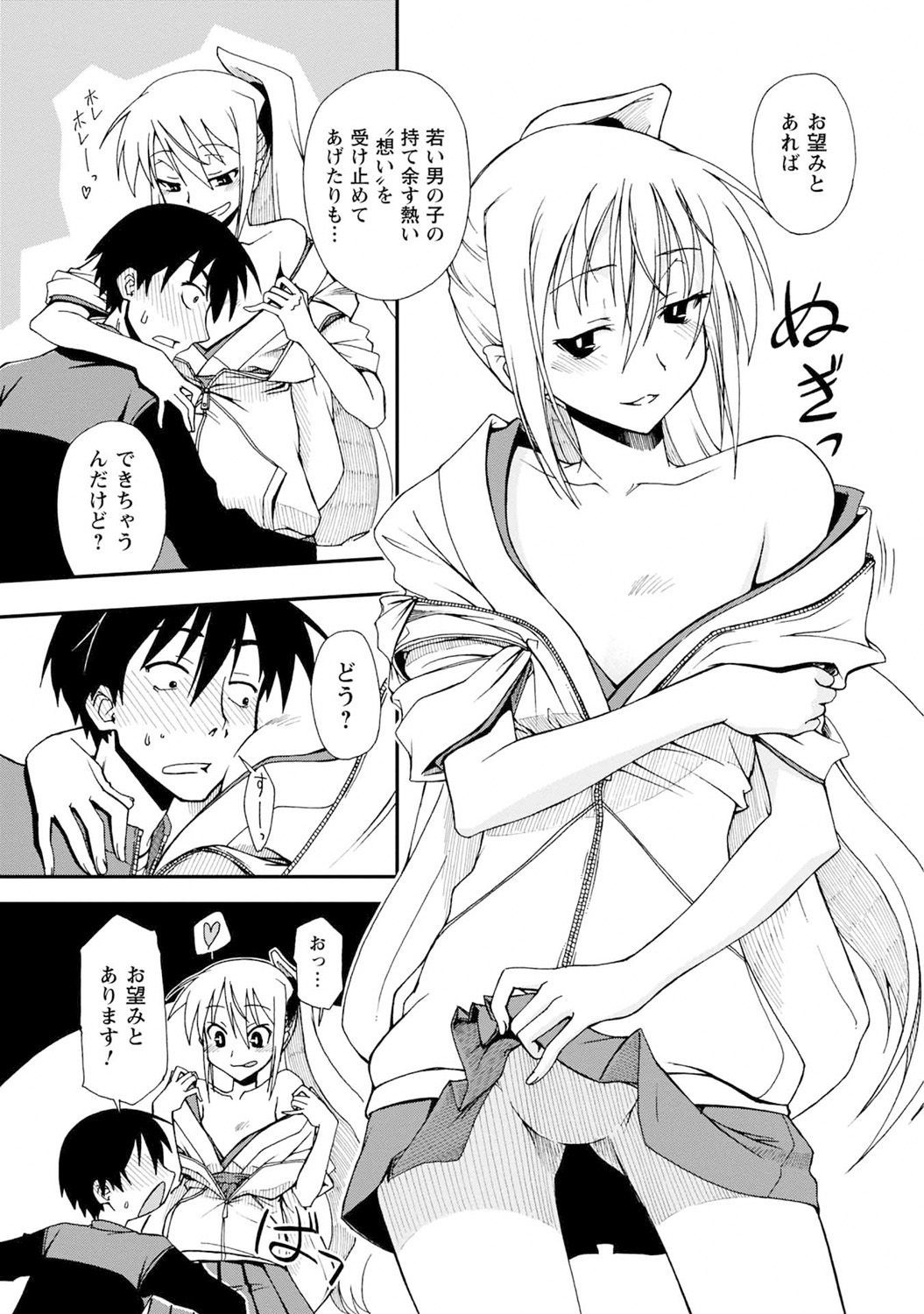 岩月！みやこそう