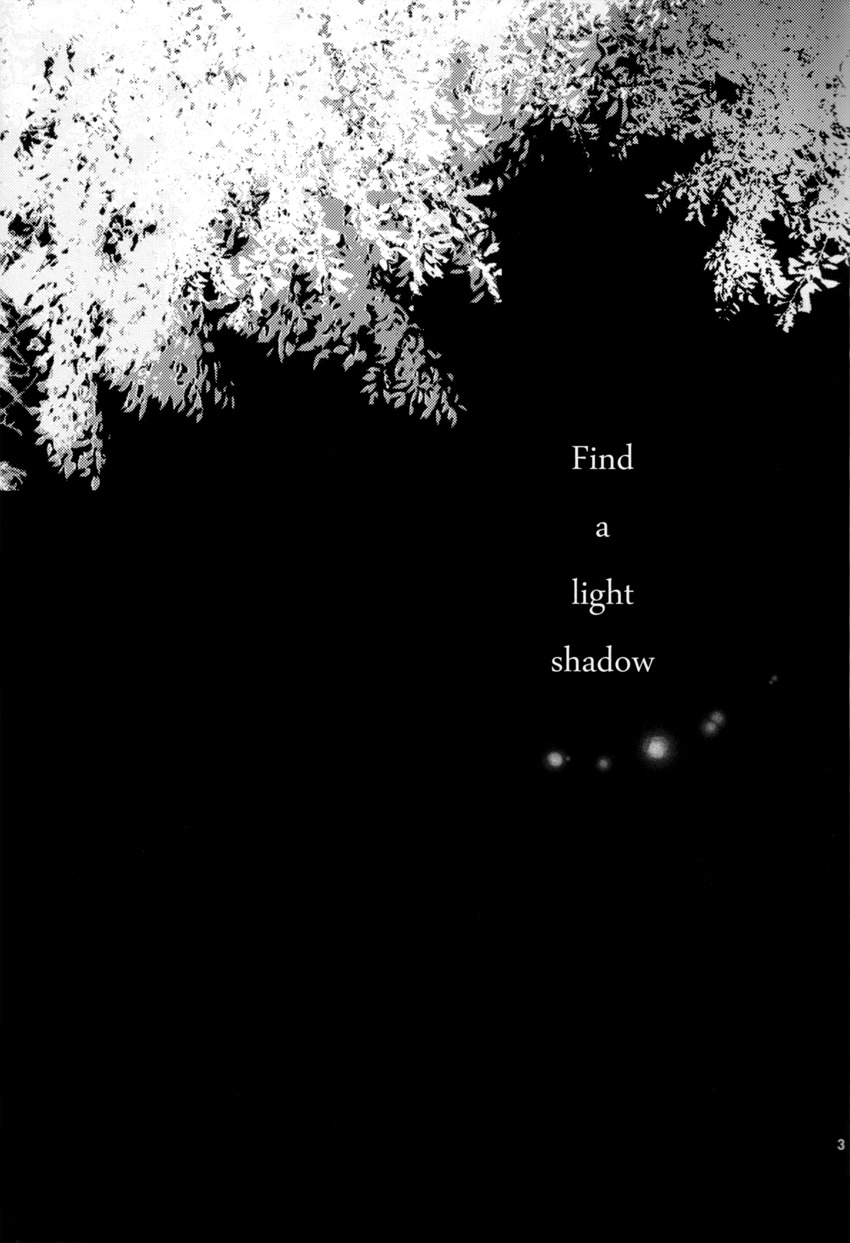 明るい影を見つける