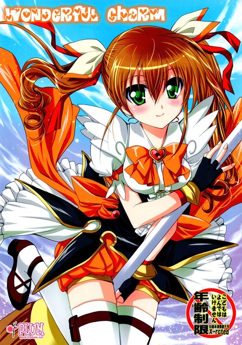 素晴らしい魅力 素晴らしい魅力