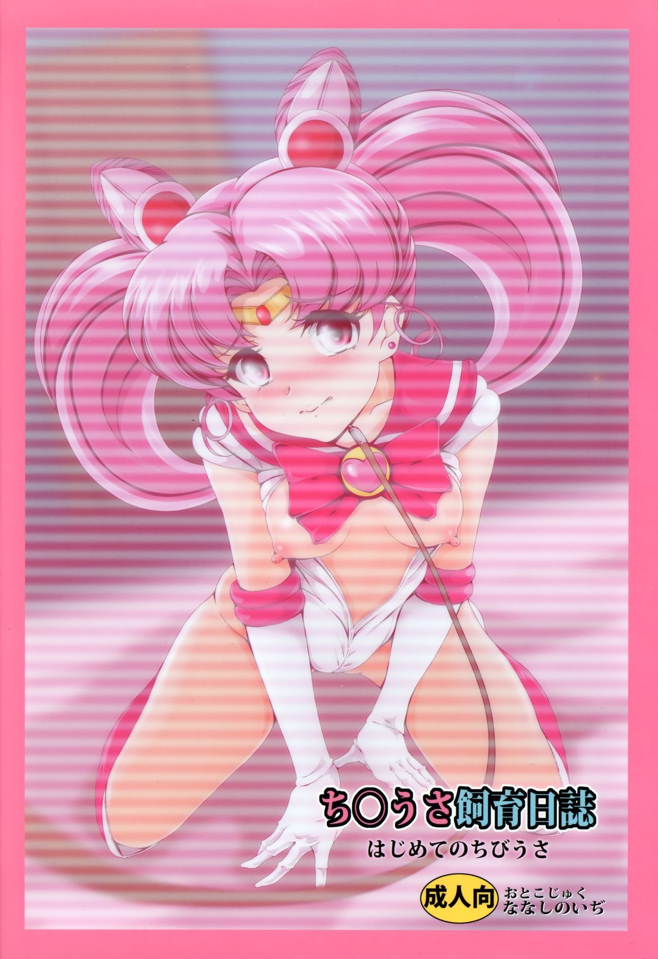 ちびうさしくにっし