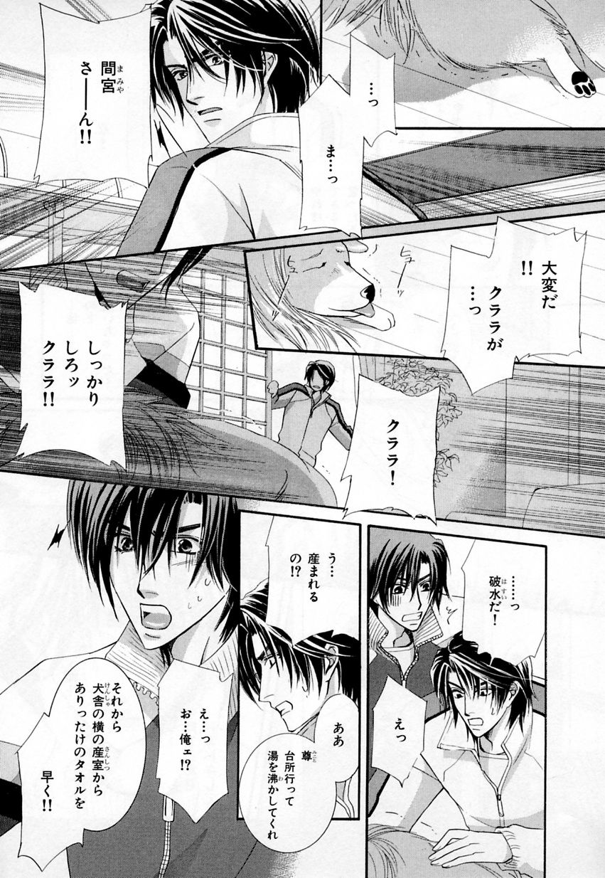 b-BOYフェニックスVol.3ツンデレ徳州