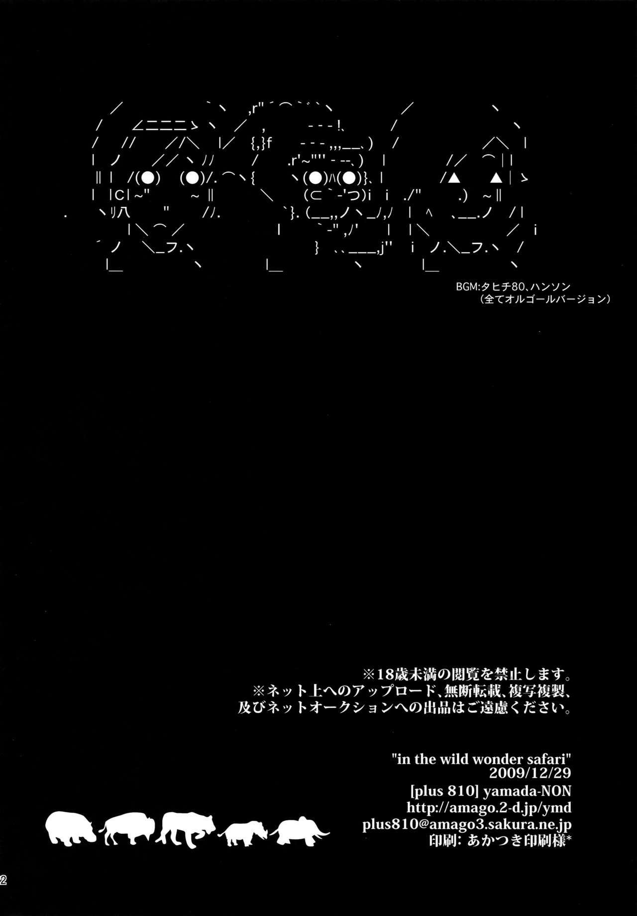 野生の不思議なサファリで