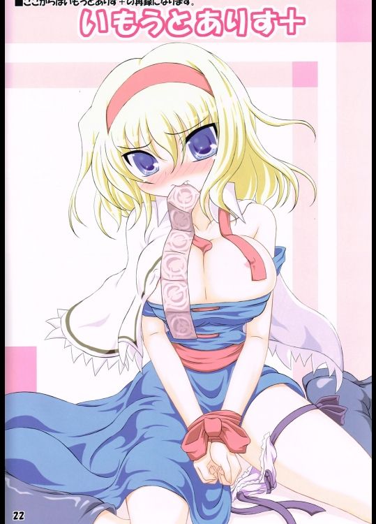 【シュウェスターコッテ！パチョリ！ 4