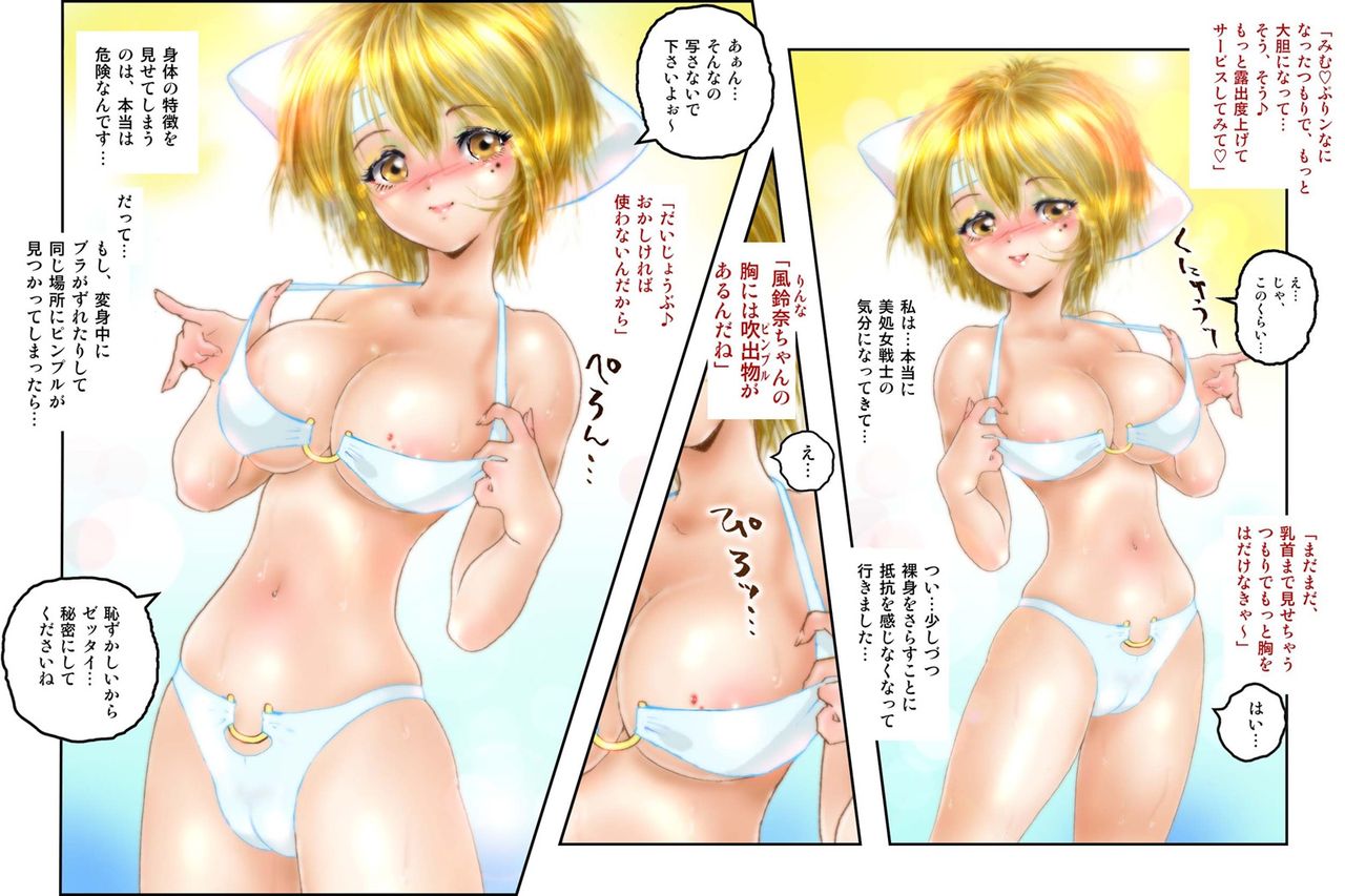 美処女戦士 みむ・ぷりンな