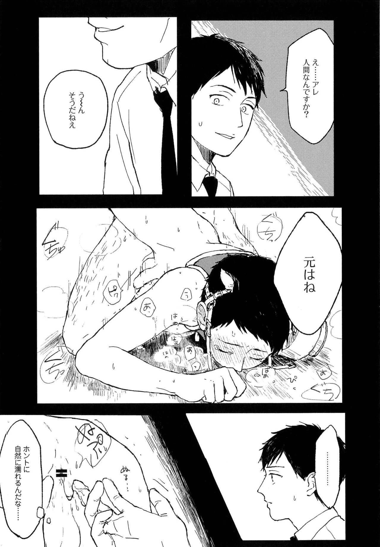 さびの夢