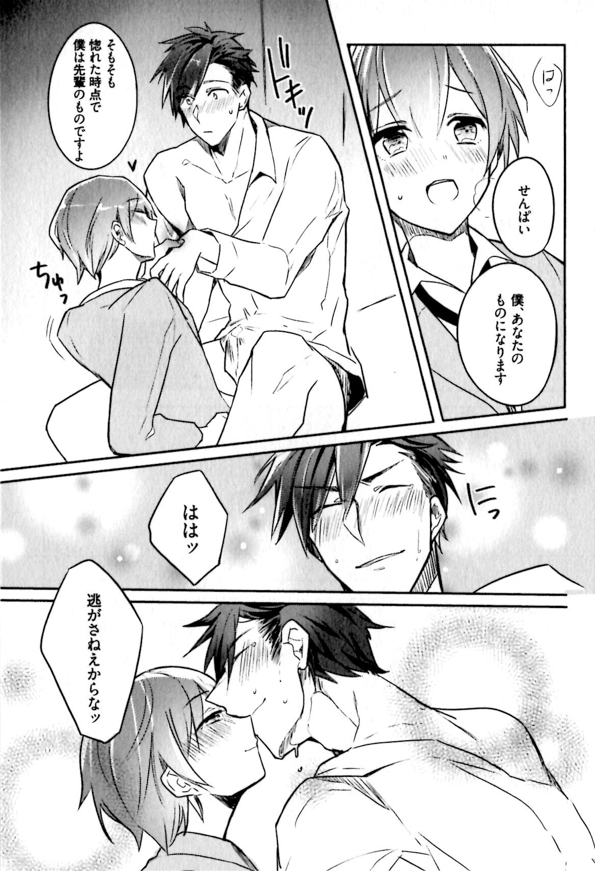 姫セメ