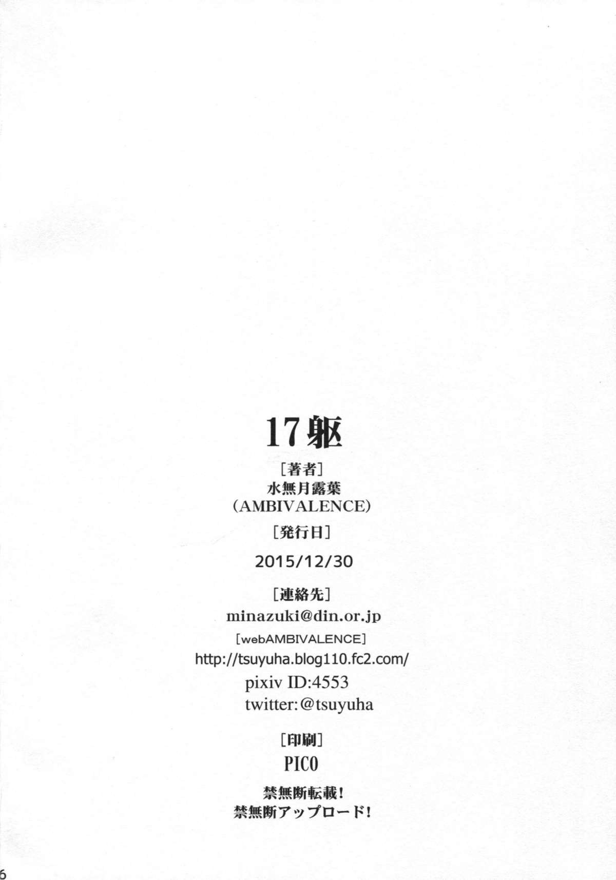 17区