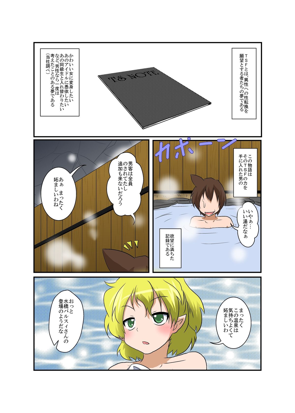 東方TS物語〜パールシー編〜 東方TS物語〜パールシー編〜