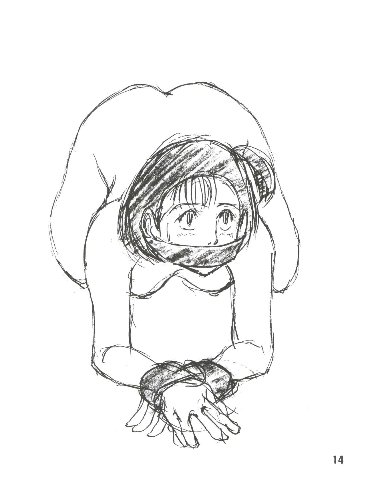 キミとホウカゴ