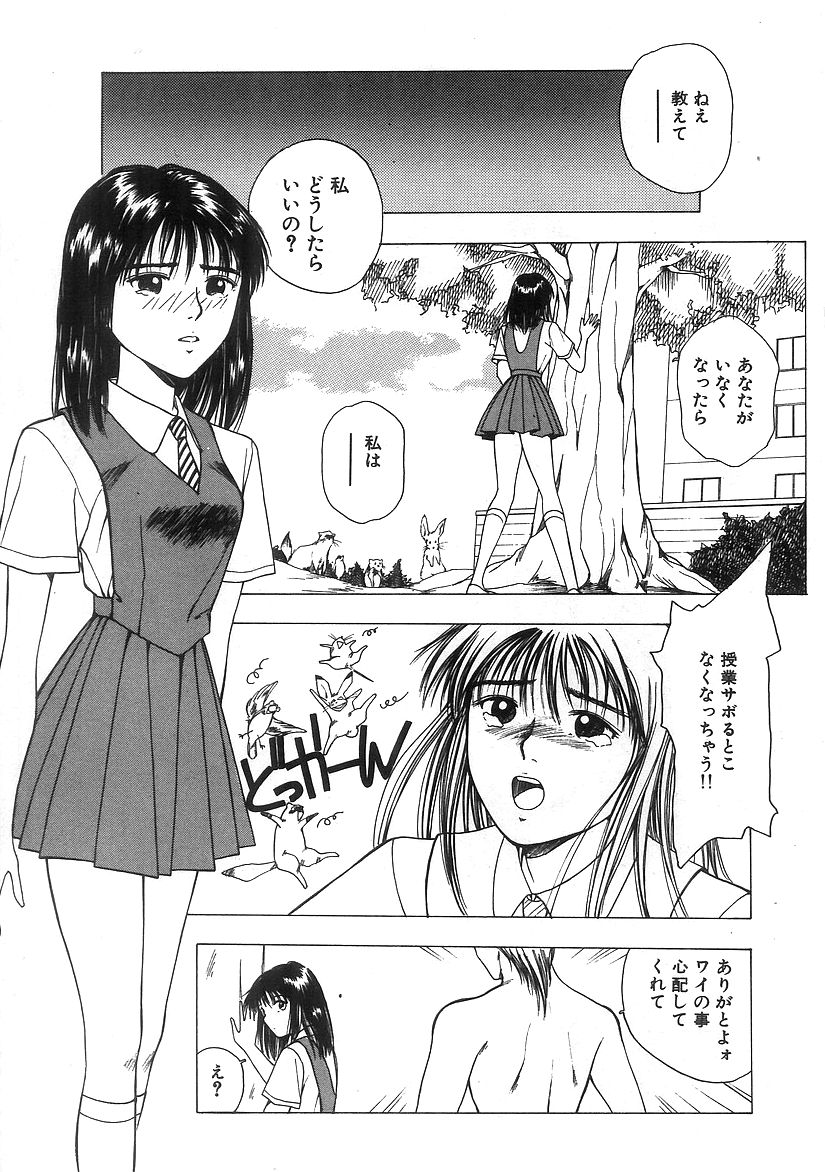 キミとホウカゴ