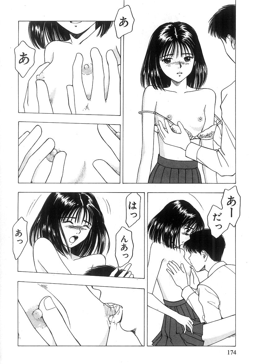 キミとホウカゴ