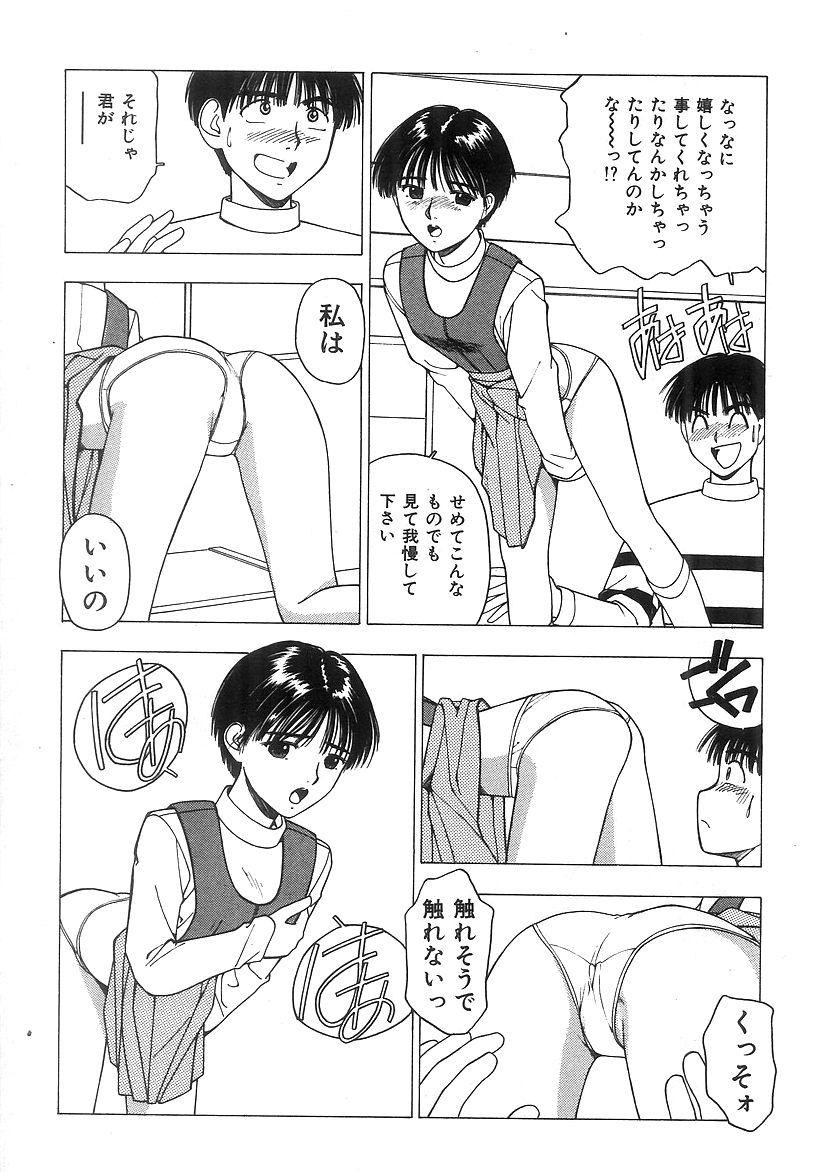 キミとホウカゴ