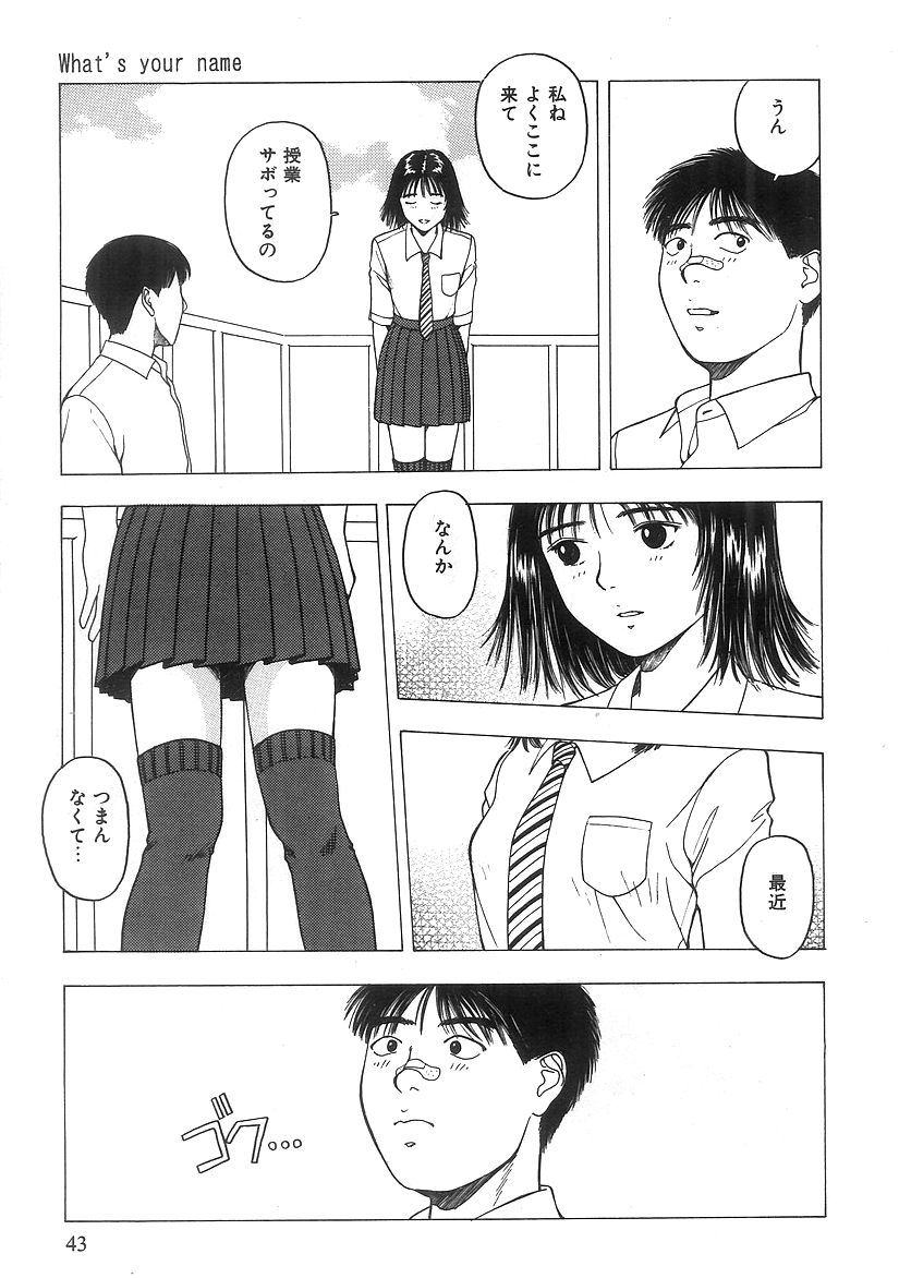 キミとホウカゴ