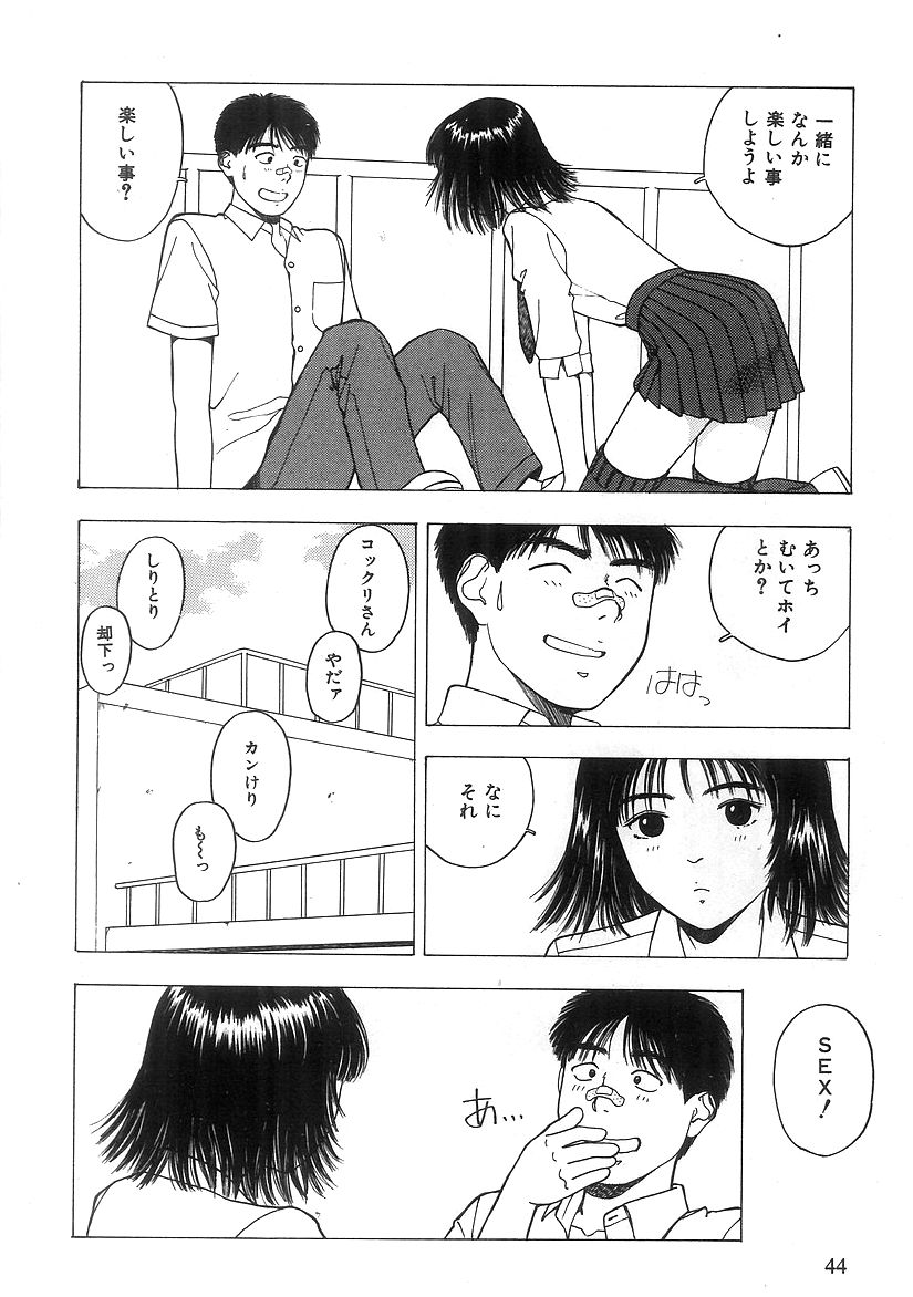 キミとホウカゴ