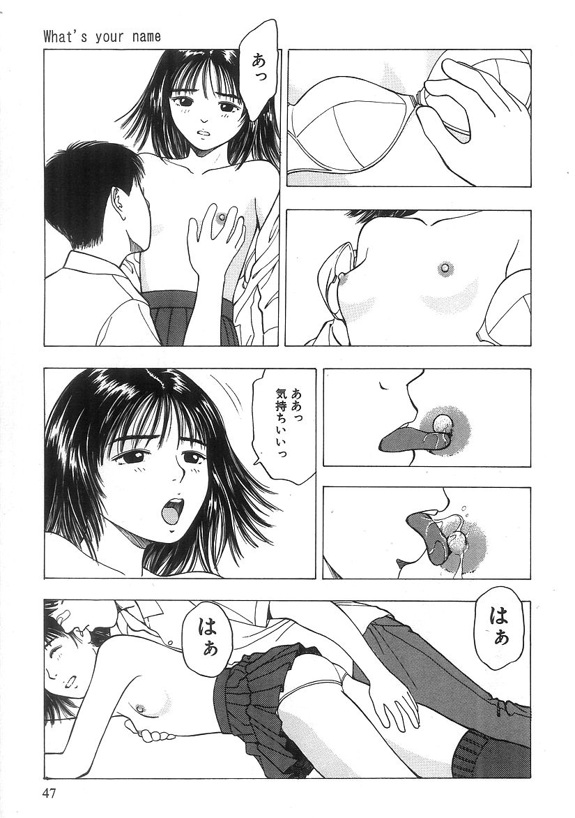 キミとホウカゴ