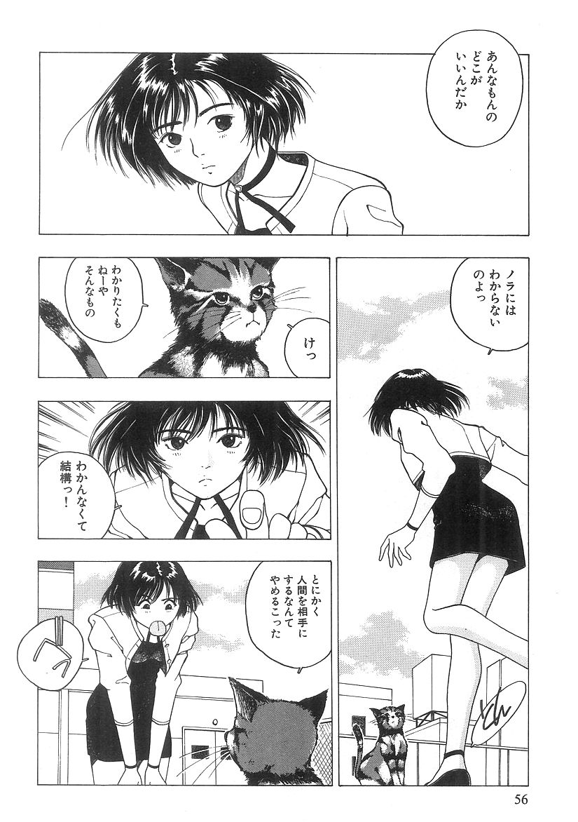 キミとホウカゴ