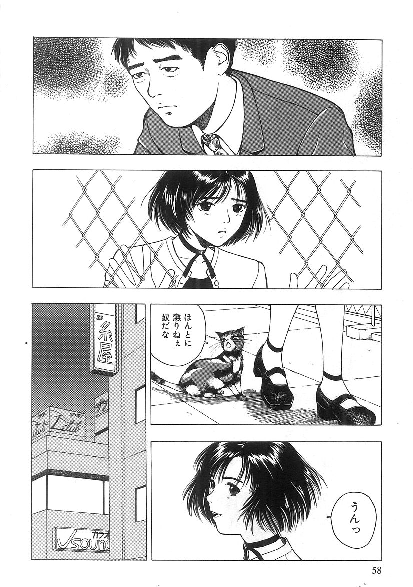 キミとホウカゴ