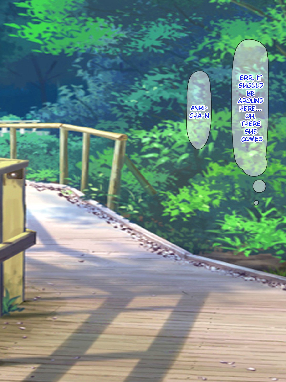 あこがれのアイドルをサイミンで僕の戦にせいしょうりよめにする