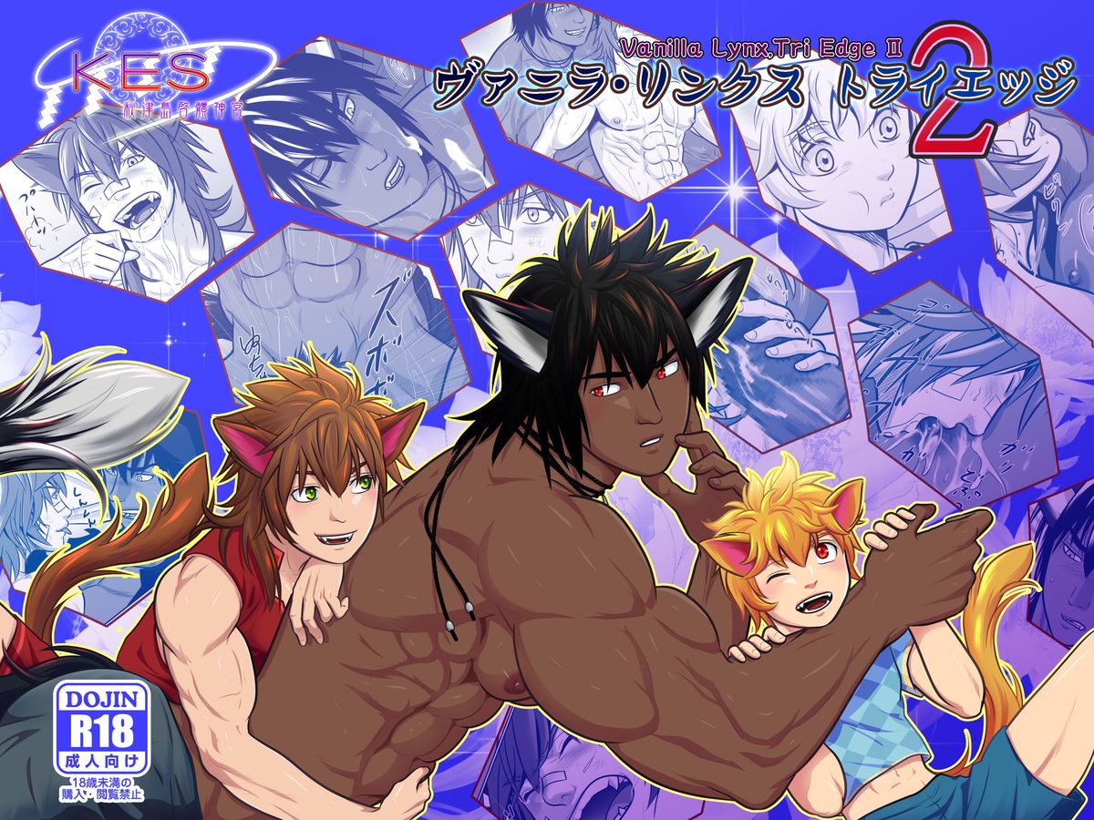 バニラリンクストライエッジ2 バニラリンクストライエッジ2