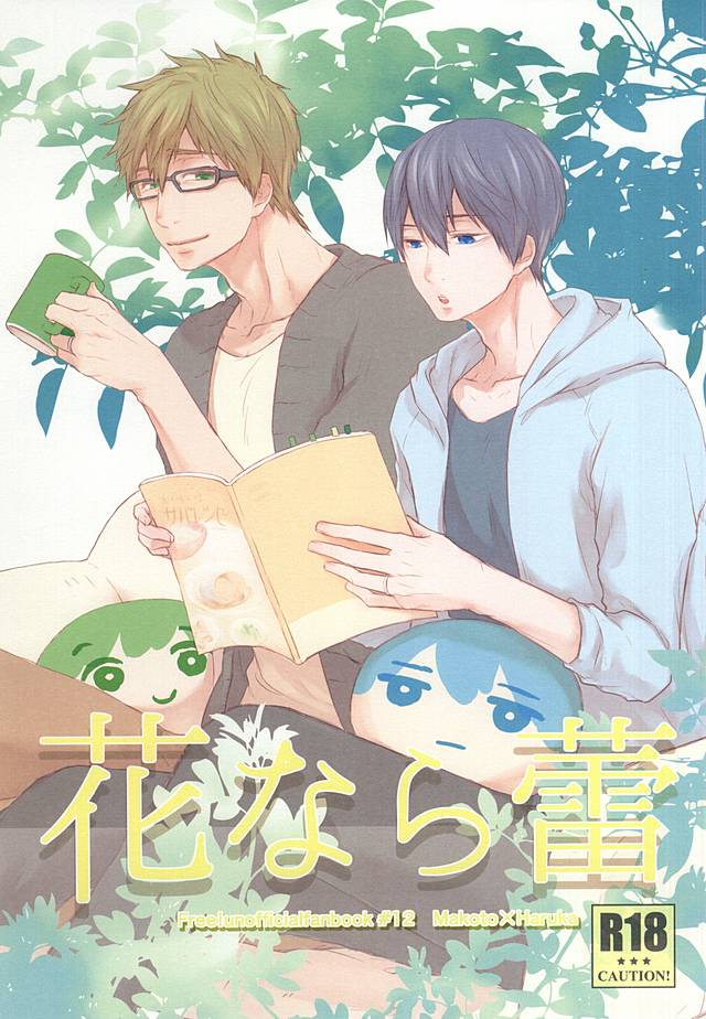 花なら蕾 花なら蕾