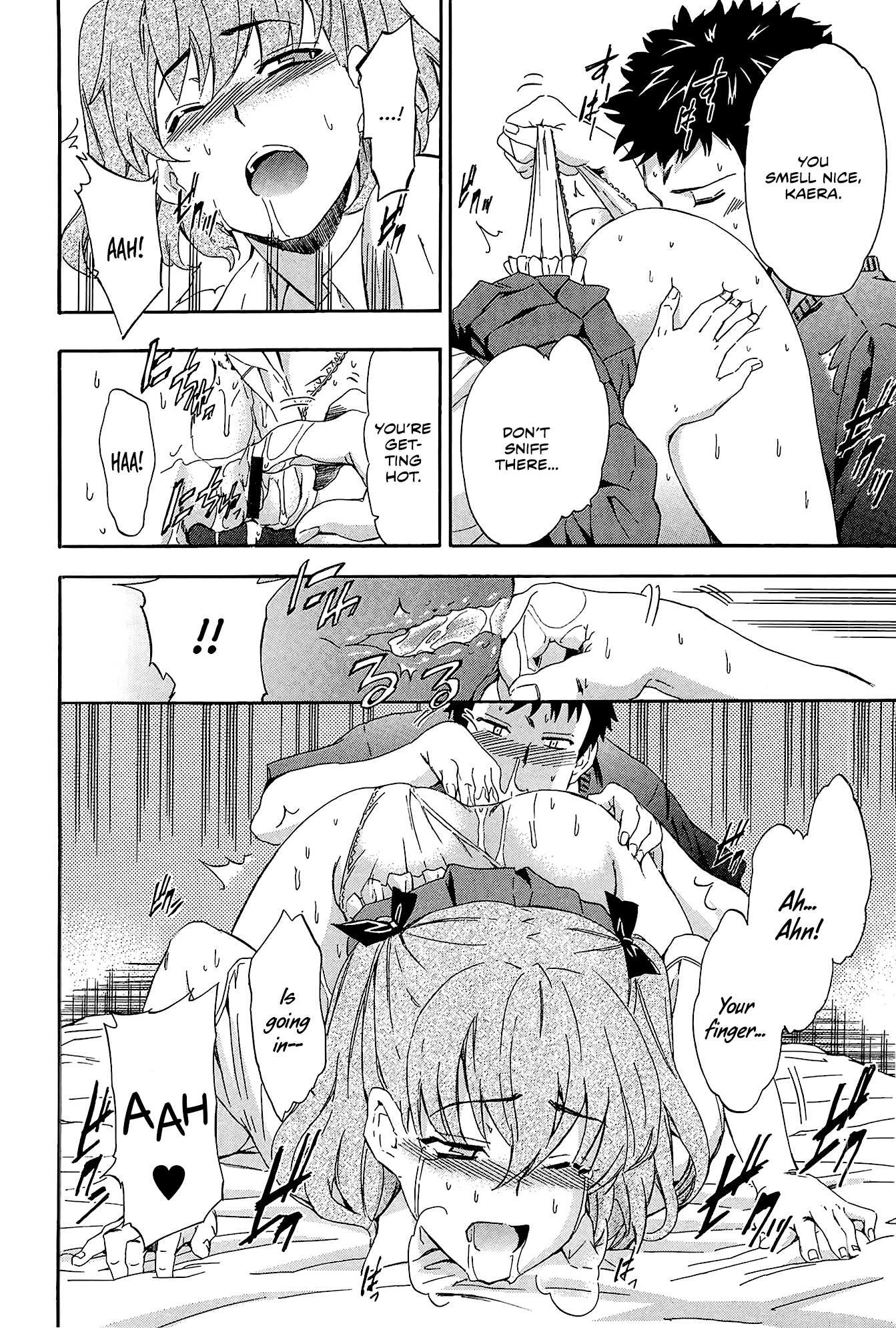 ほとけの花王しってるか|仏陀の顔を知っていますか？