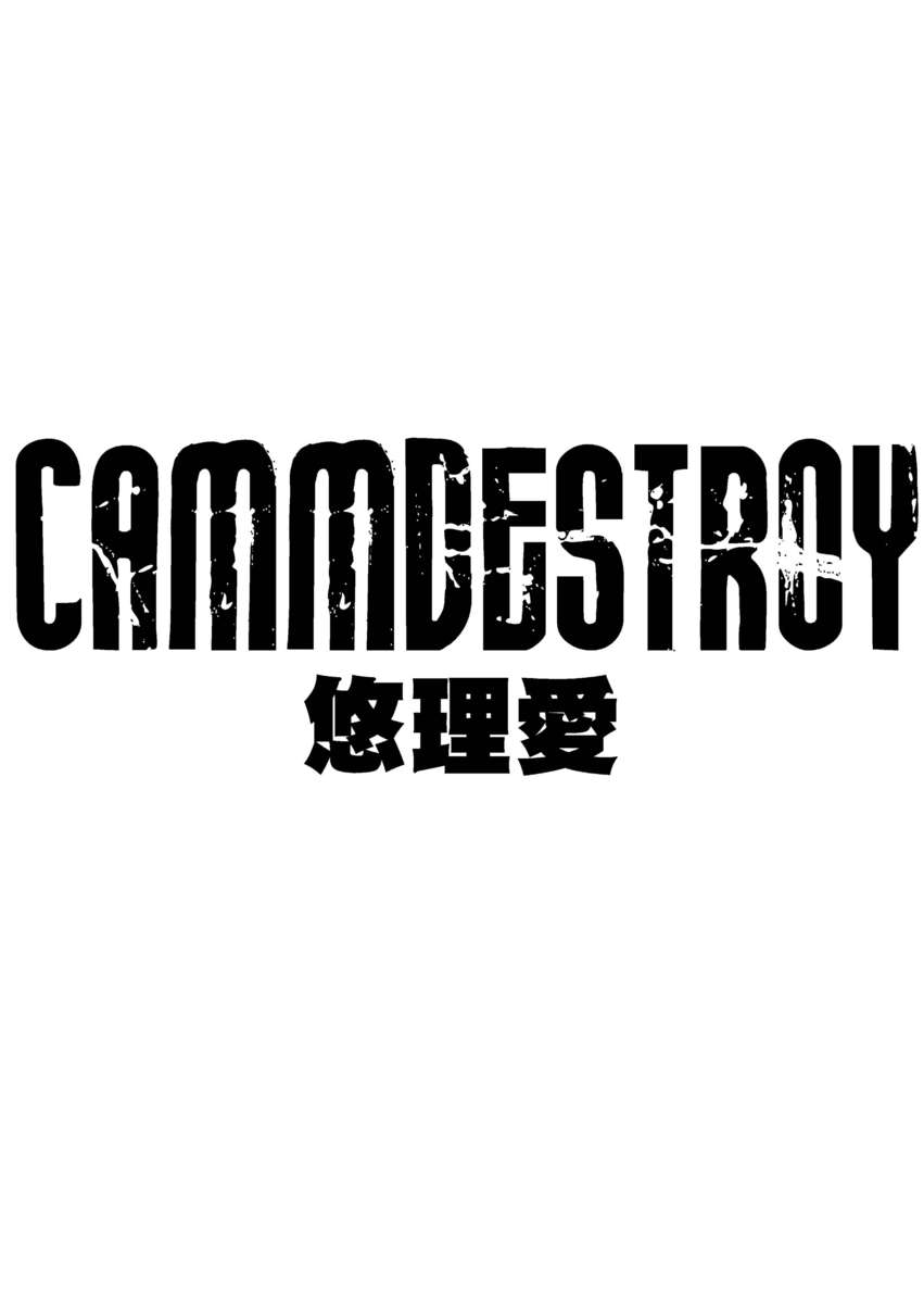 CAMMDESTROY