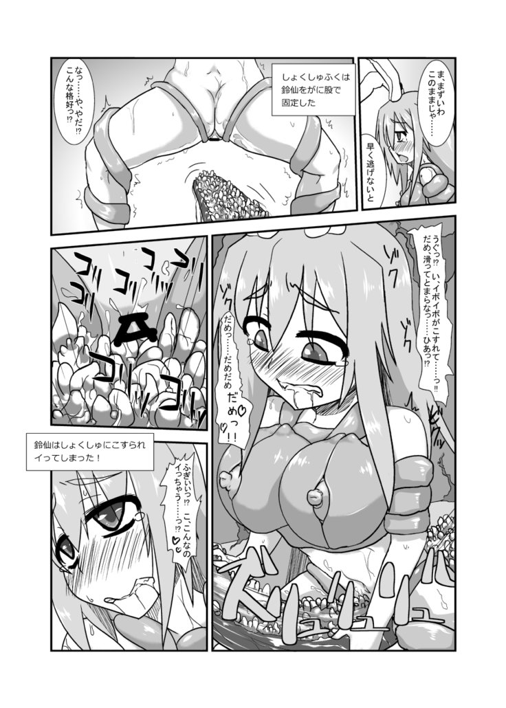 うさぎなえどこ