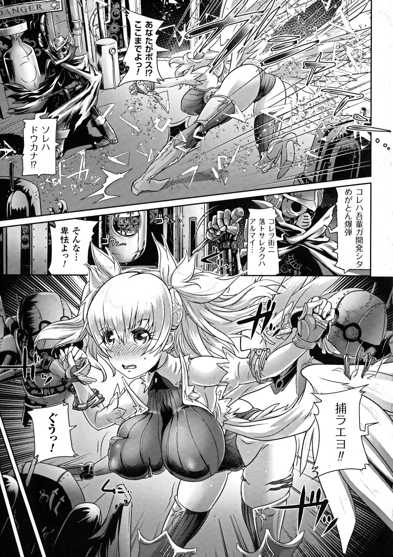聖霊のヒロインカンゴクファイルDXvol。 5