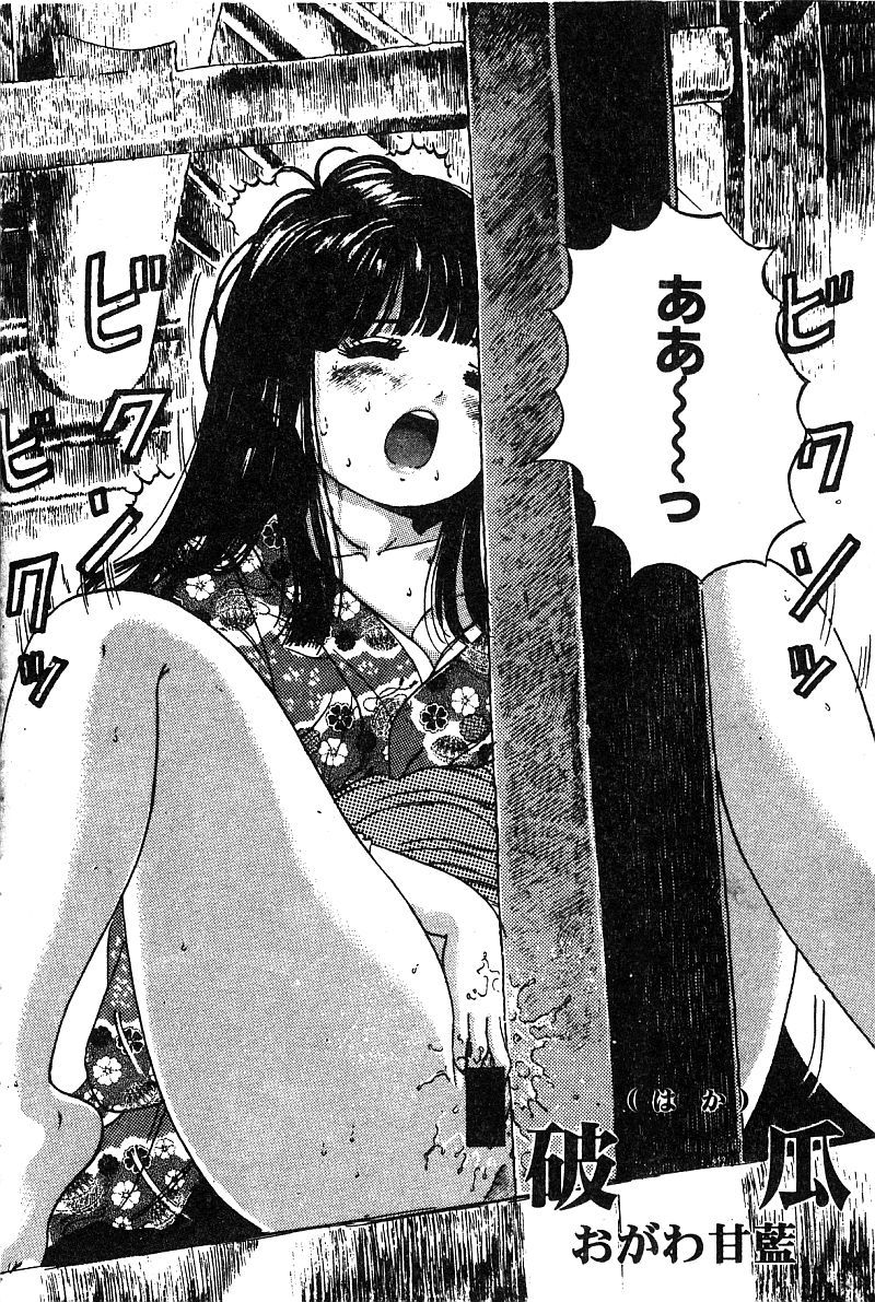 ヒメドロボウデラックスVol。 8