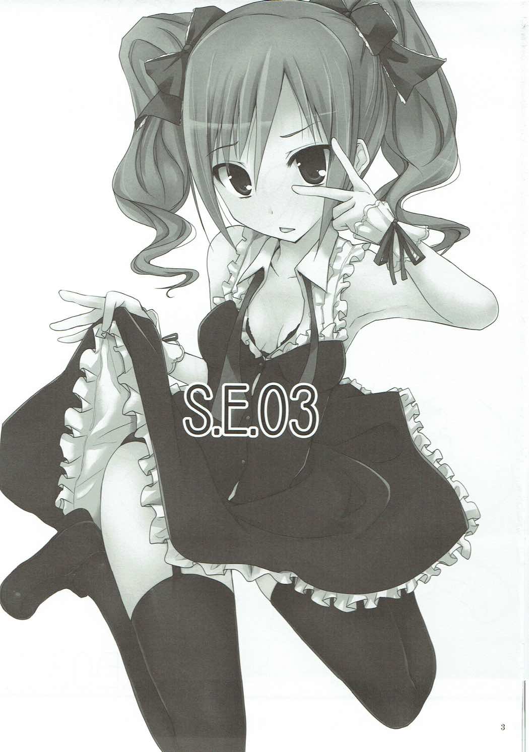 S.E.03