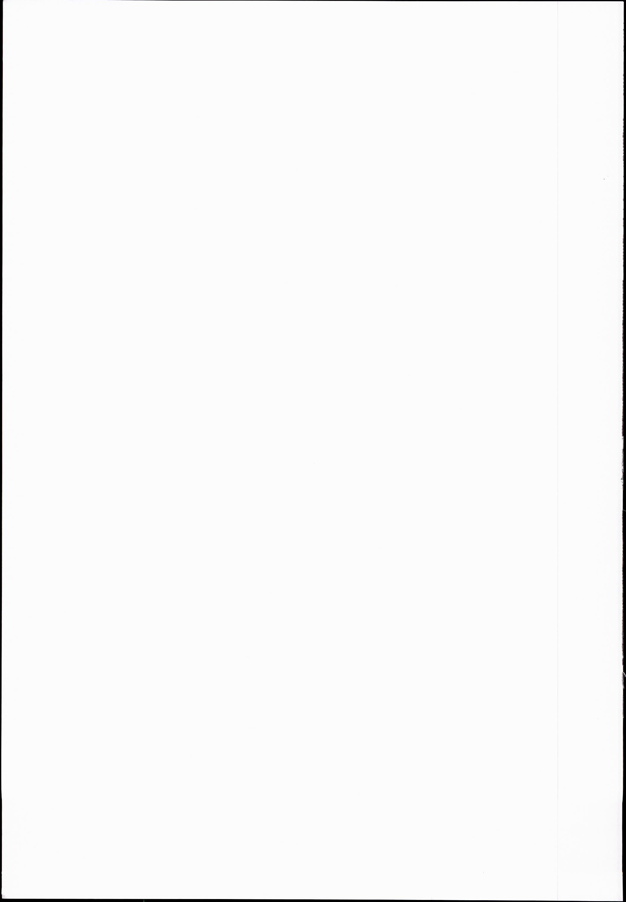 KoiFlaドリームパーティー