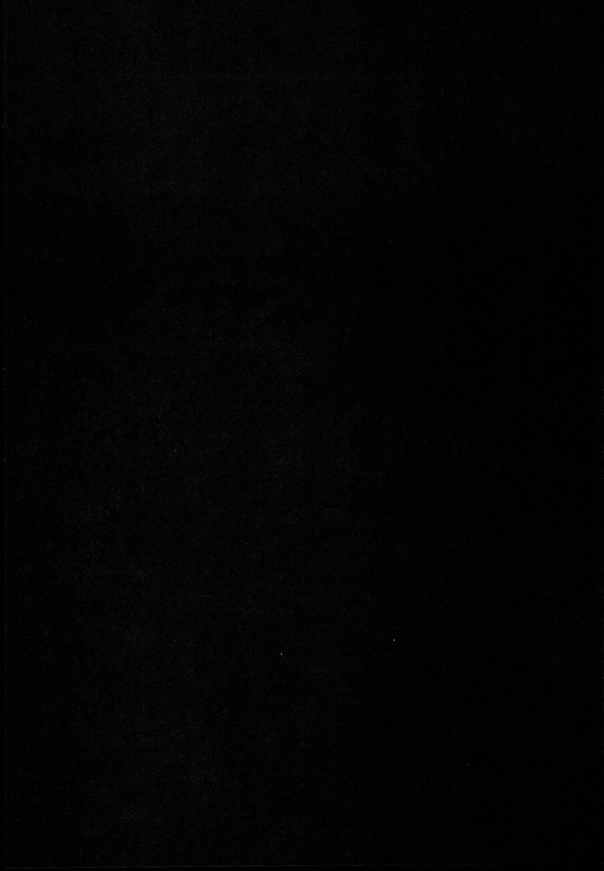 KoiFlaドリームパーティー