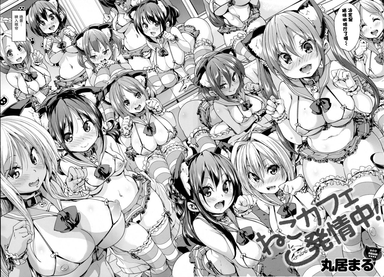 ねこカフェ初城中！ |猫咪咖啡़情中