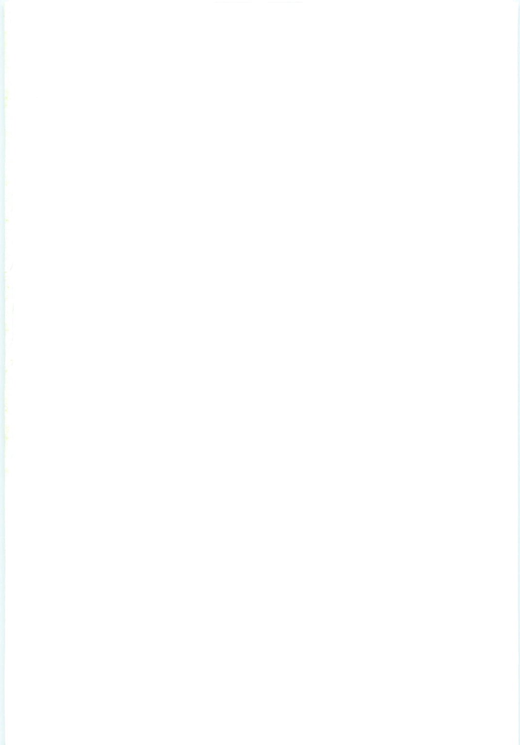 ティファのオヤショク。 2 ティファのオヤショク。 2