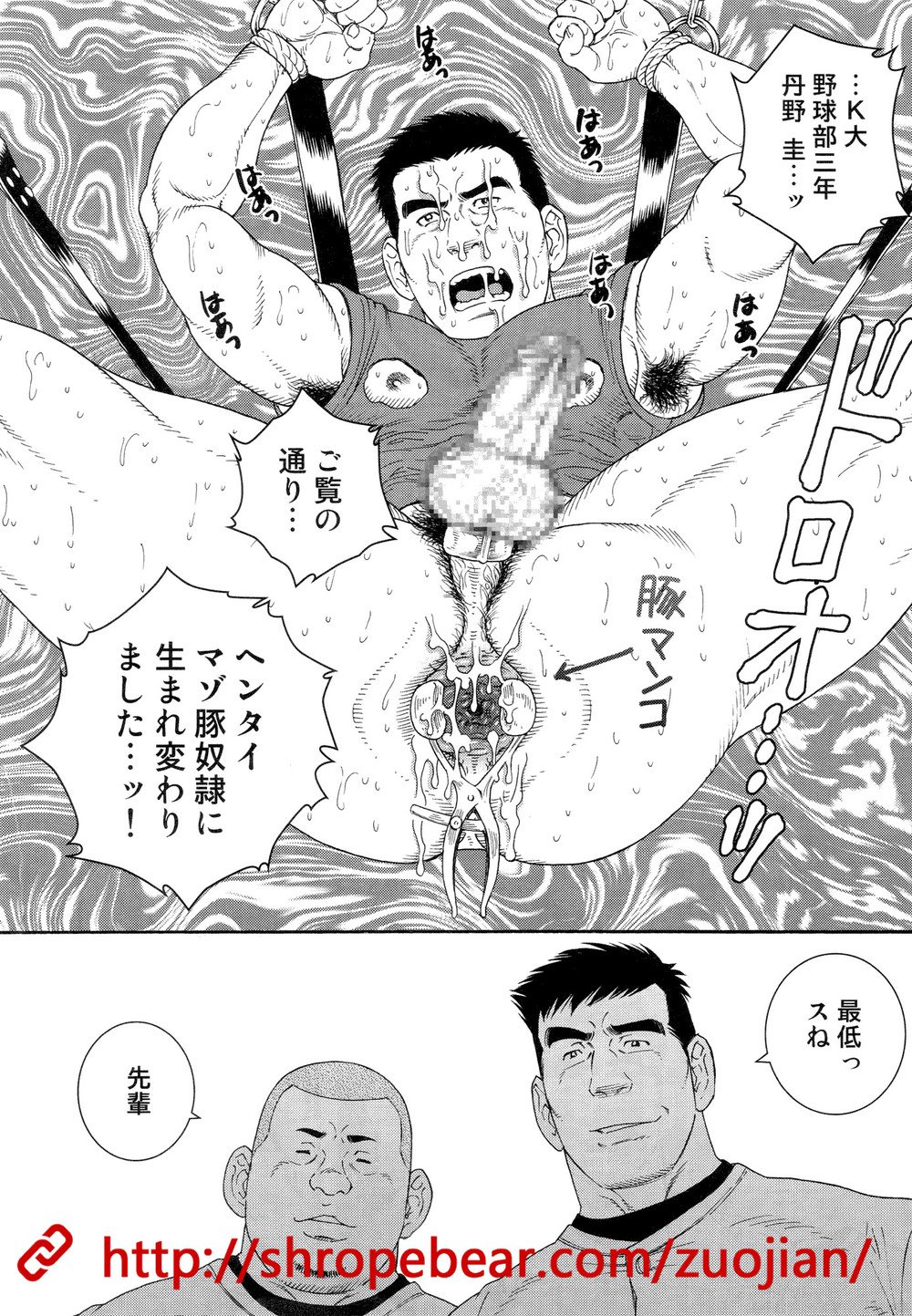 奴隷訓練サマーキャンプ