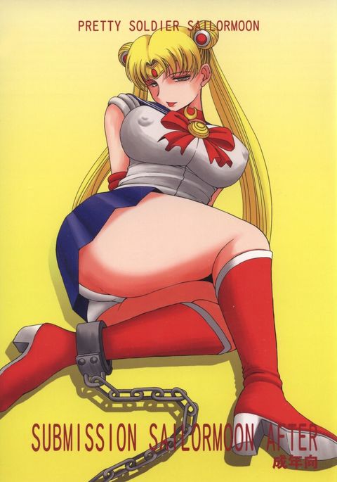 提出セーラームーンアフター/ミッドガード 提出セーラームーンアフター/ミッドガード