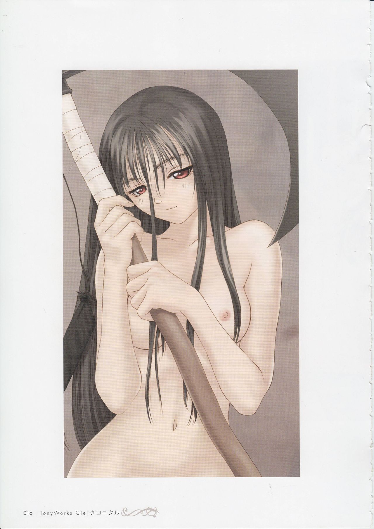 トニーワークスシエルクロニクル