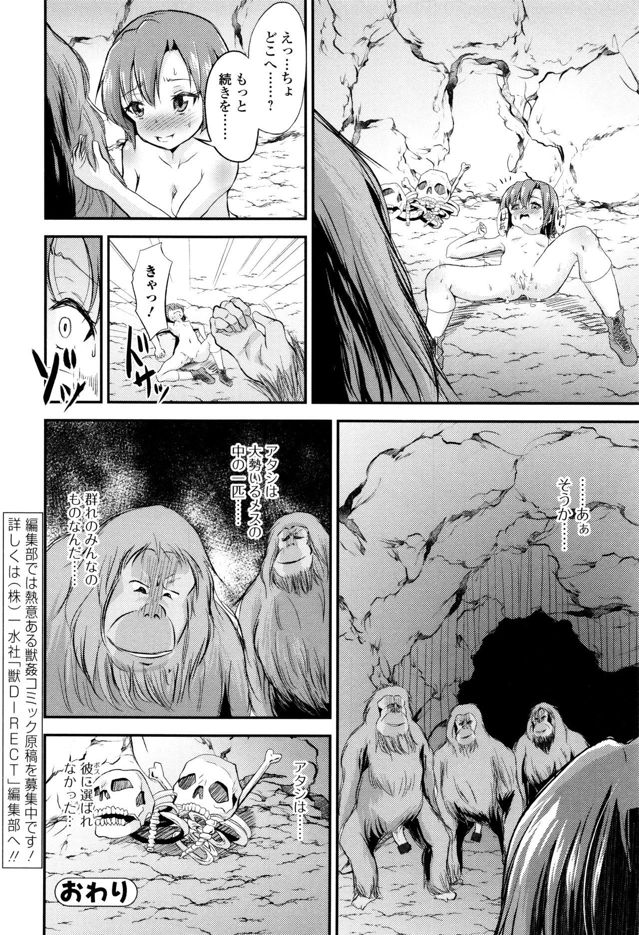 ケモノダイレクト3