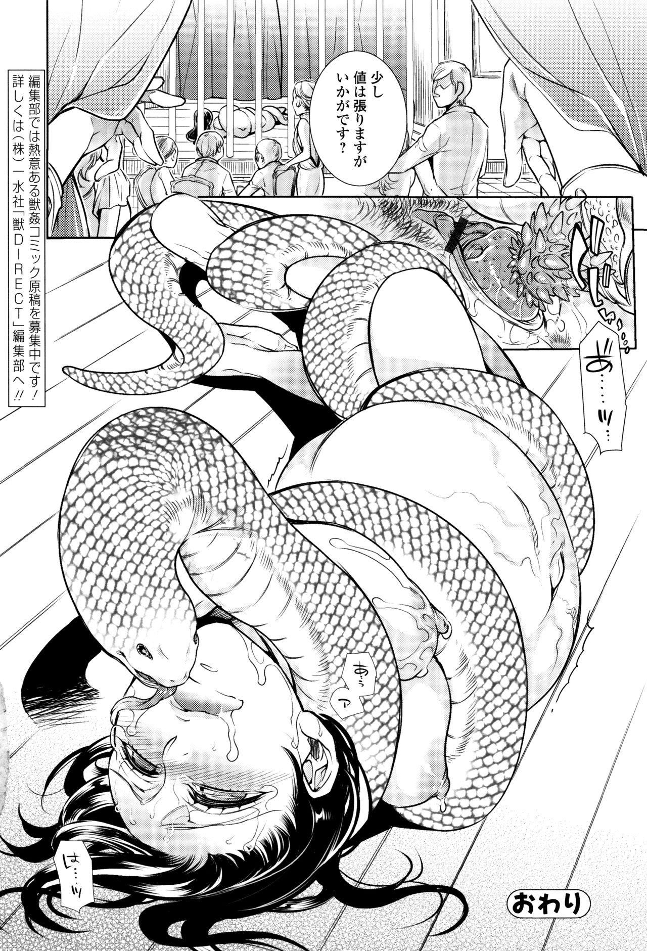 ケモノダイレクト3