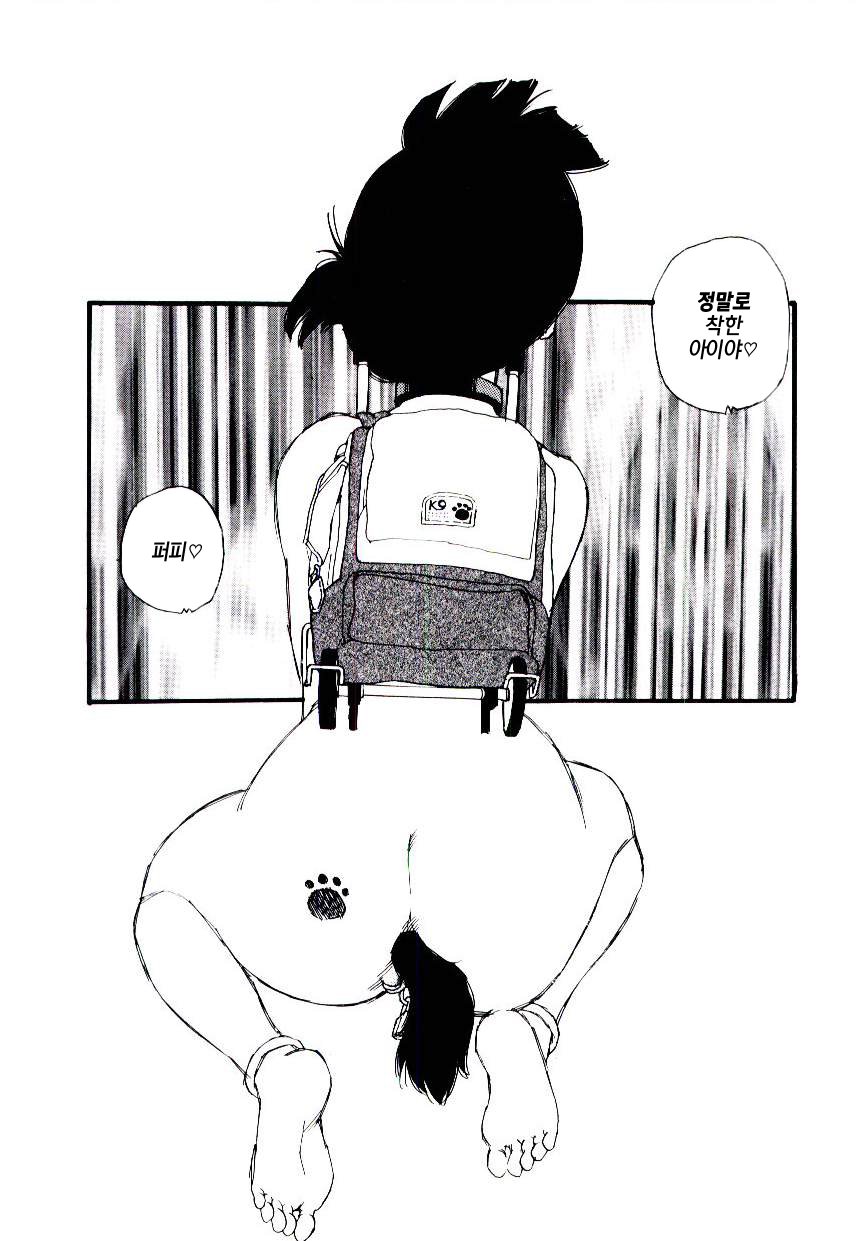 Meshi be no album |암꽃술앨범