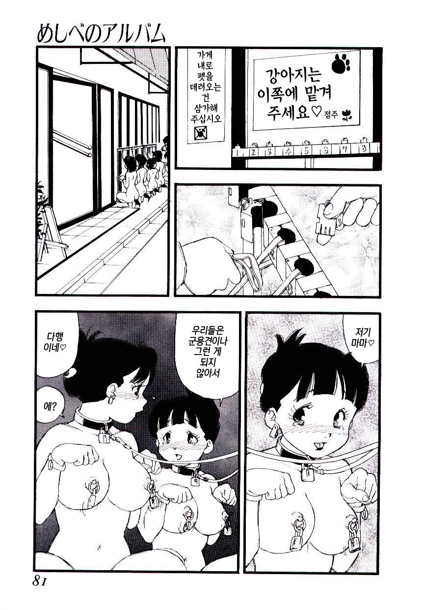 Meshi be no album |암꽃술앨범