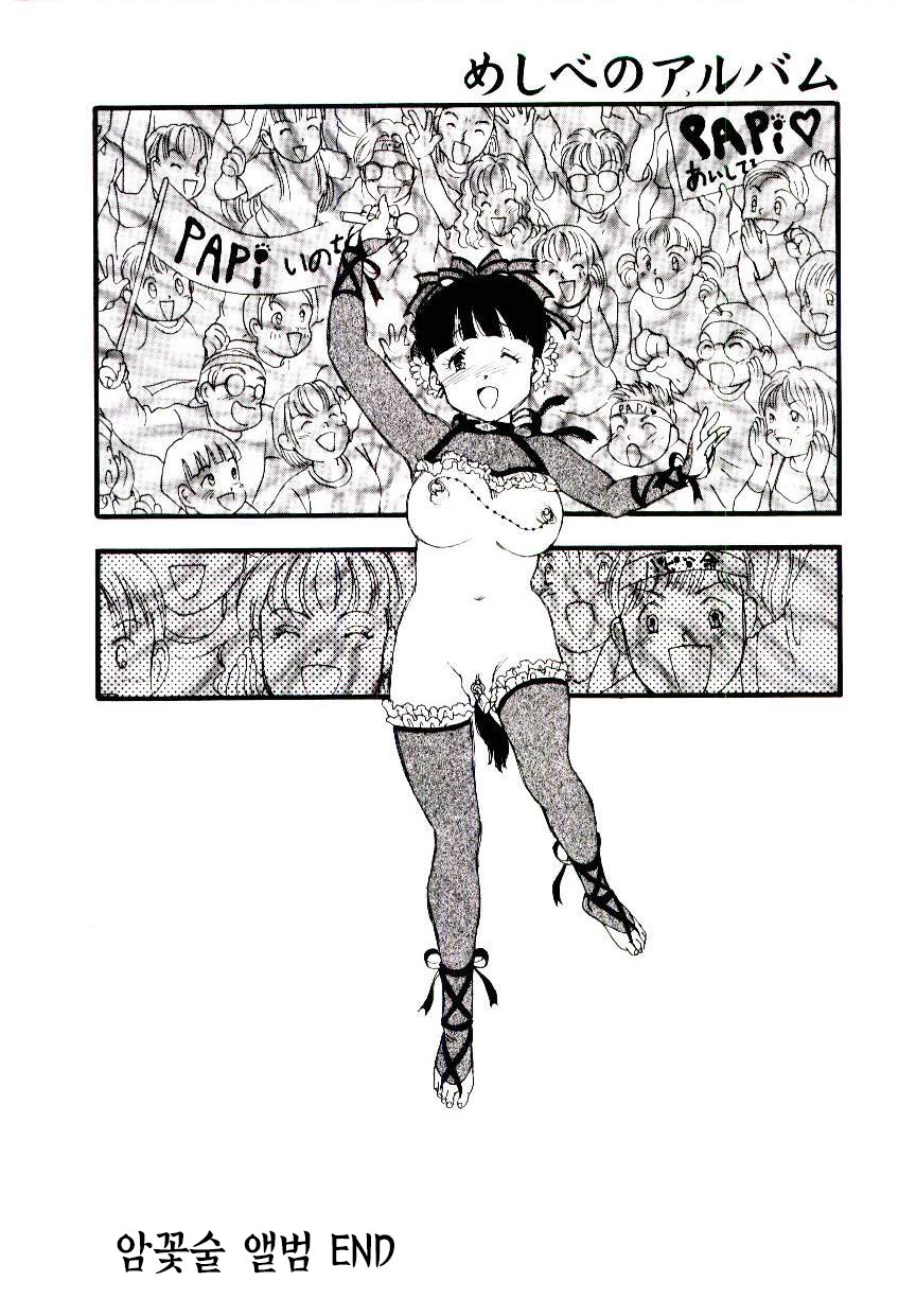 Meshi be no album |암꽃술앨범