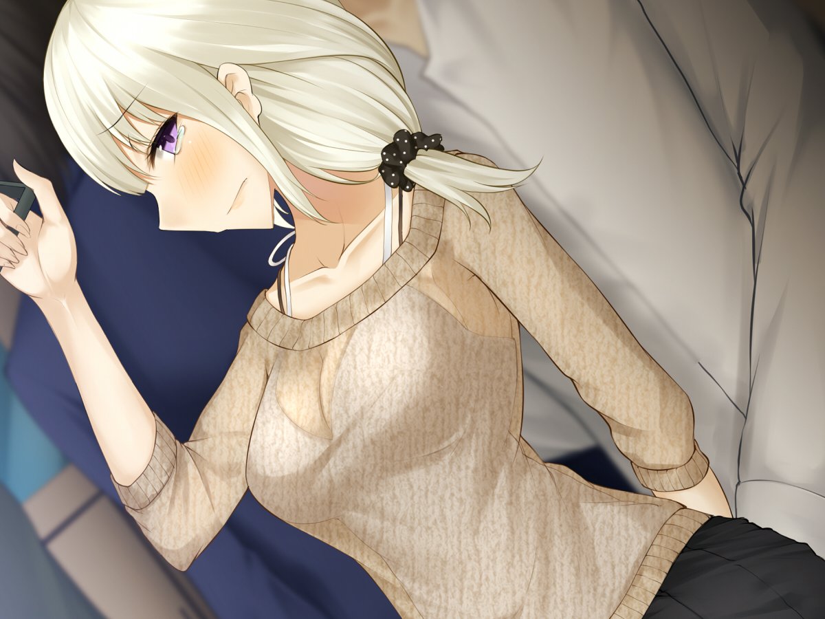 でんしゃのなか、みつのおふけい
