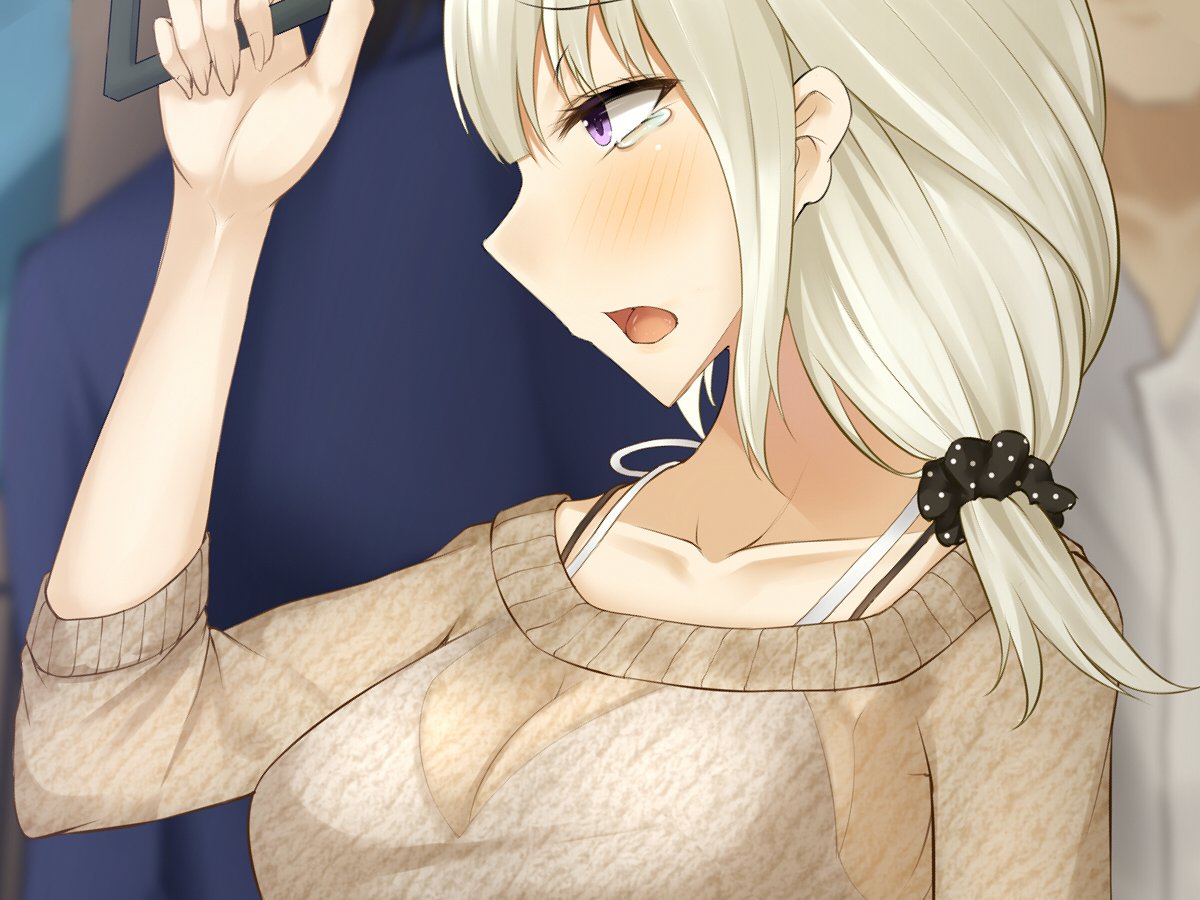 でんしゃのなか、みつのおふけい