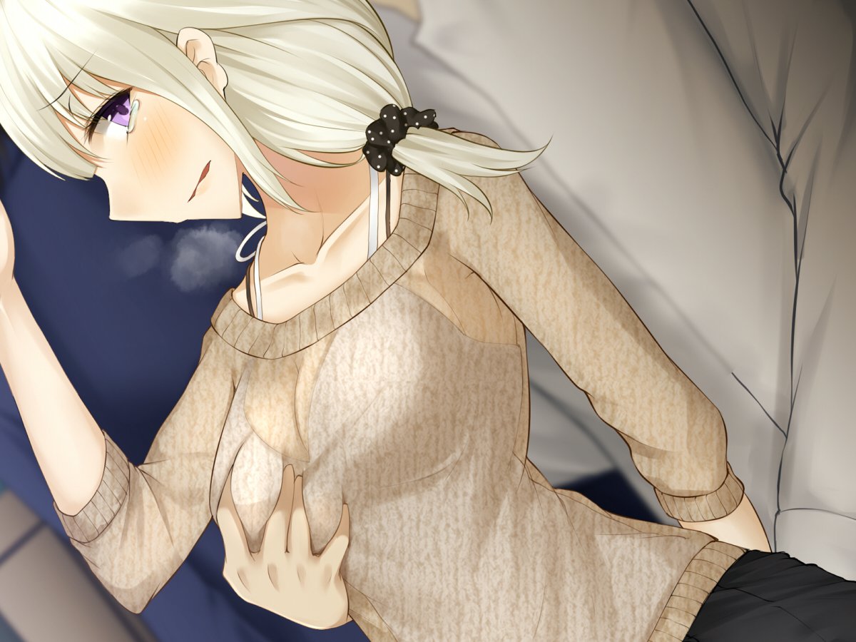でんしゃのなか、みつのおふけい