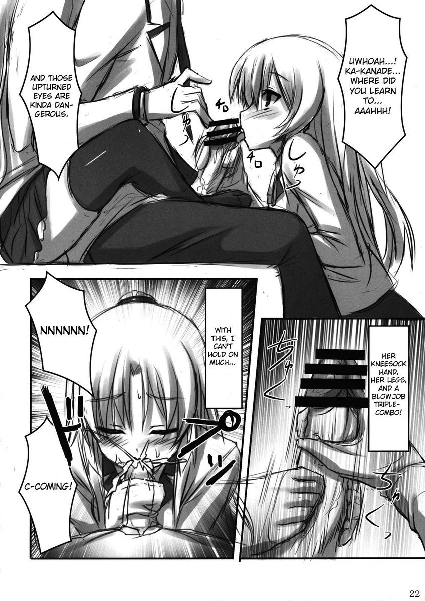 エンジェルニーソ