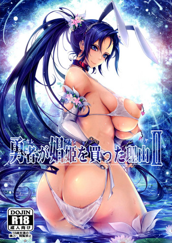 (C95) [我流痴帯 (TANA)] 勇者が娼姫を買った理由II (ドラゴンクエストXI)